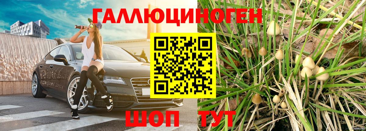 Псилоцибиновые грибы мухоморы Унеча