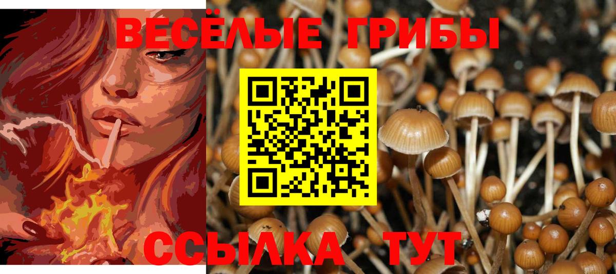 Унеча  Галлюциногенные грибы GOLDEN TEACHER  Вход с VPN 